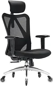 Ergonomic Chair, Lumbar Support, Thick Cushion, Armrest and Headrest,